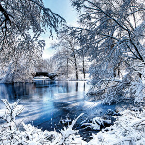 Landscapes